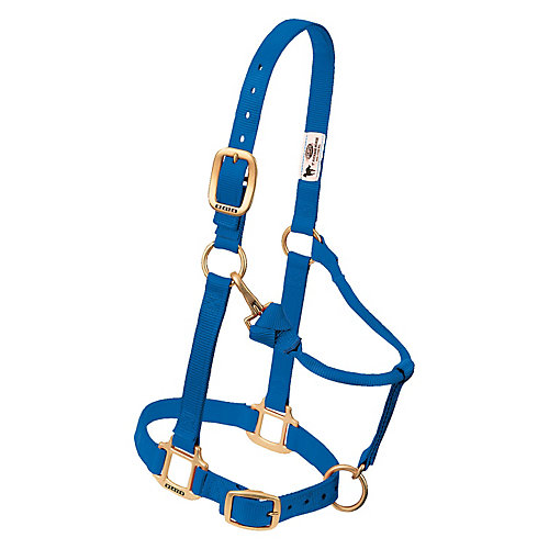 Large Dark Green Hamilton 1-Inch Nylon Adjustable Quality Halter with Chin Snap for 1100 to 1600-Pound Horse Large Dark Green Hamilton 1-Inch Nylon Adjustable Quality Halter with Chin Snap for 1100 to 1600-Pound Horse