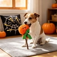 thumbnail image 5 of Qocolcyl Halloween Pet Chew Toy, Squeaky Teething Plaything For Dogs Cats, Spooky Holiday Designs Soft Material Built In Voice Relieve Pet Boredom, 5 of 6
