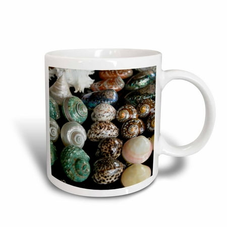 3dRose Shells for sale in market, Mahe Island, Seychelles-AF39 AWR0317 - Alison Wright, Ceramic Mug, 15-ounce
