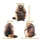 thumbnail image 2 of Almohada de peluche CHAO de mapache grande regalo para niñas niños y novias, 2 of 4