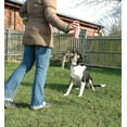 thumbnail image 2 of Correcteur pour Animaux 50 ml, Lot de 4, 2 of 8