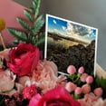 thumbnail image 3 of 3drose, Mono Lake Tufa Before Sunset, 6 Greeting Cards with Envelopes, 3 of 7