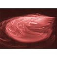 thumbnail image 1 of Ahgly Company Machine Washable Indoor Rectangle Transitional Grapefruit Red Area Rugs, 3' x 5', 1 of 7