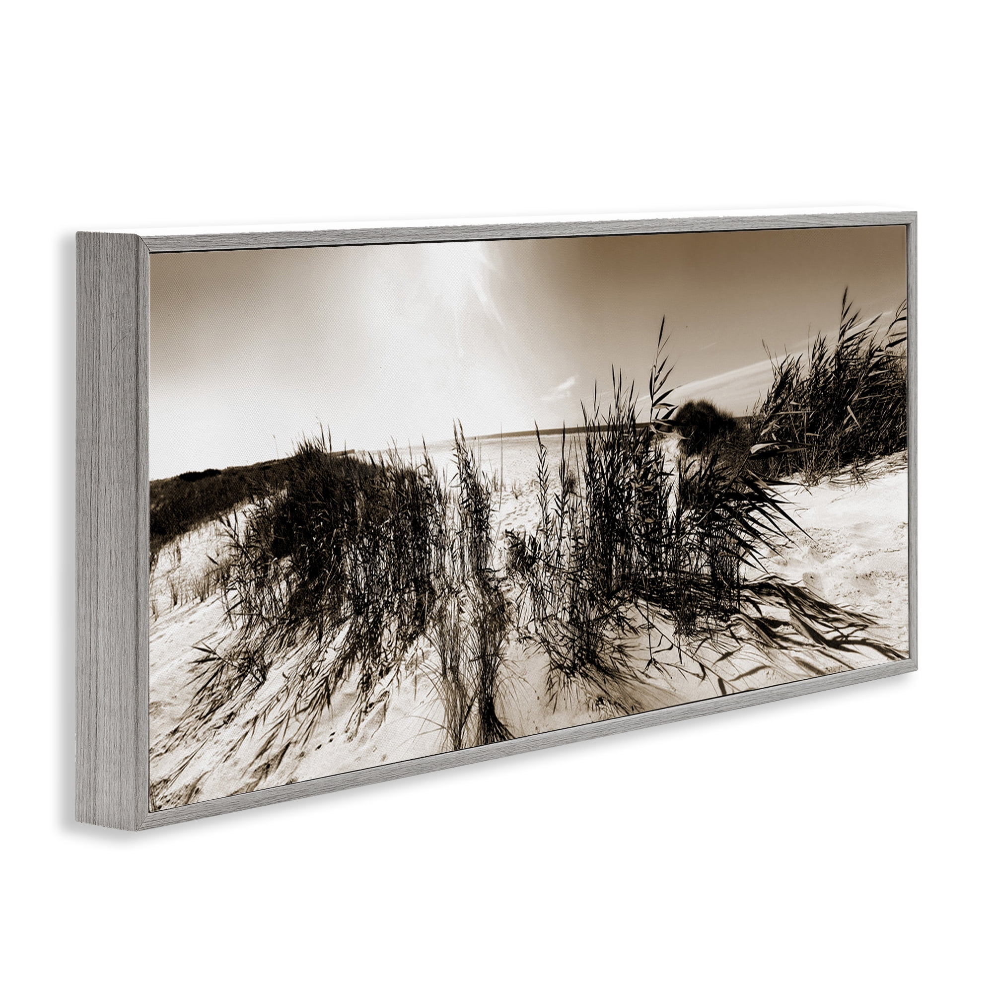 Stupell Industries Wind In The Dunes Coastal Photography Gray Framed Art Print Wall Art, 30 x 13