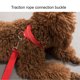 thumbnail image 4 of Collar reflectante para perro, acolchado de neopreno suave, de nailon transpirable, ajustable para perros pequeños, color rojo., 4 of 7