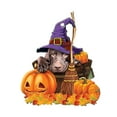 thumbnail image 1 of Colgante de calabaza de Halloween para coche, jardín, patio y mochilas. Estilo A, 1 of 8