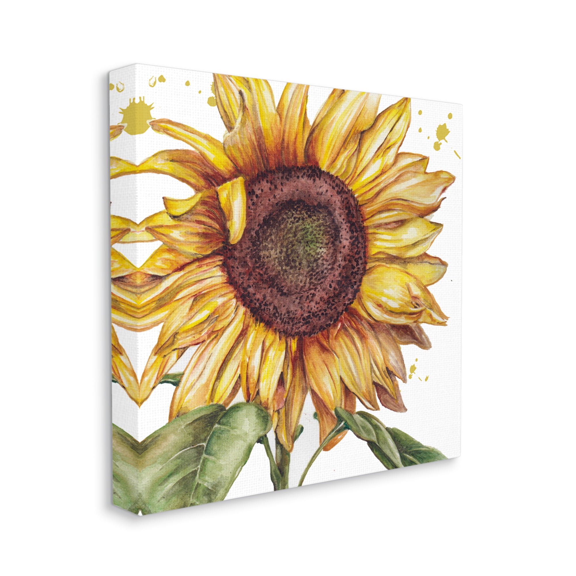 Stupell Industries Modern Country Sunflower Botanical & Floral Painting Gallery Wrapped Canvas Art Print Wall Art, 24 x 24