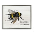 thumbnail image 5 of Stupell Industries Anatomy of Honey Bee Pun Charming Bee's Knees Luster Gray Framed Floating Canvas Wall Art, 24x30, by Daphne Polselli, 5 of 5