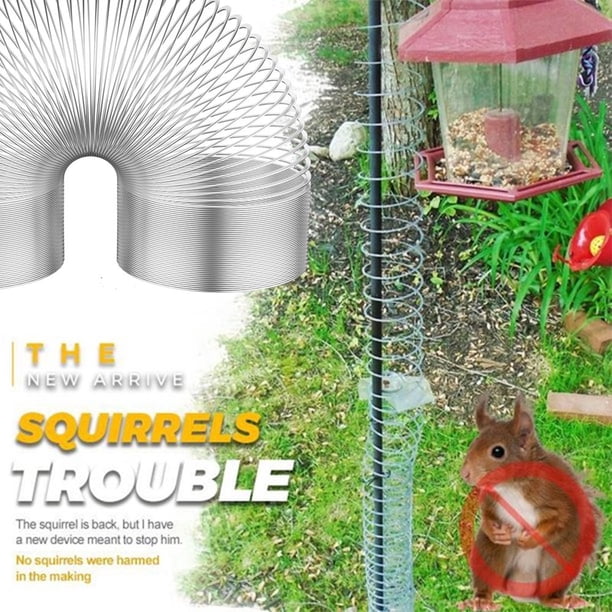 Protection Anti-écureuils Pour Mangeoire à Oiseaux – Diamètres 30,5 à 45,7 Cm – Facile à Installer