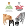 thumbnail image 3 of Cuencos para perros Slow Feeder Pawque ajustables, elevados a 3 alturas, 3 of 7