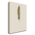thumbnail image 1 of 18" x 26" Feather 07 by Incado - Wall Art Print on Canvas Fabric Gray, 1 of 3