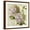 Brown Frame, variant on Art.com Harmonious V Marche de Fleurs Script Art Print by Lisa Audit, 16" x 16"