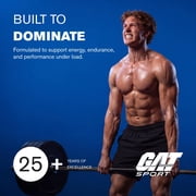 GAT SPORT NITRAFLEX ULTRA, Strawberry Watermelon, 21.6 oz (30 Servings)