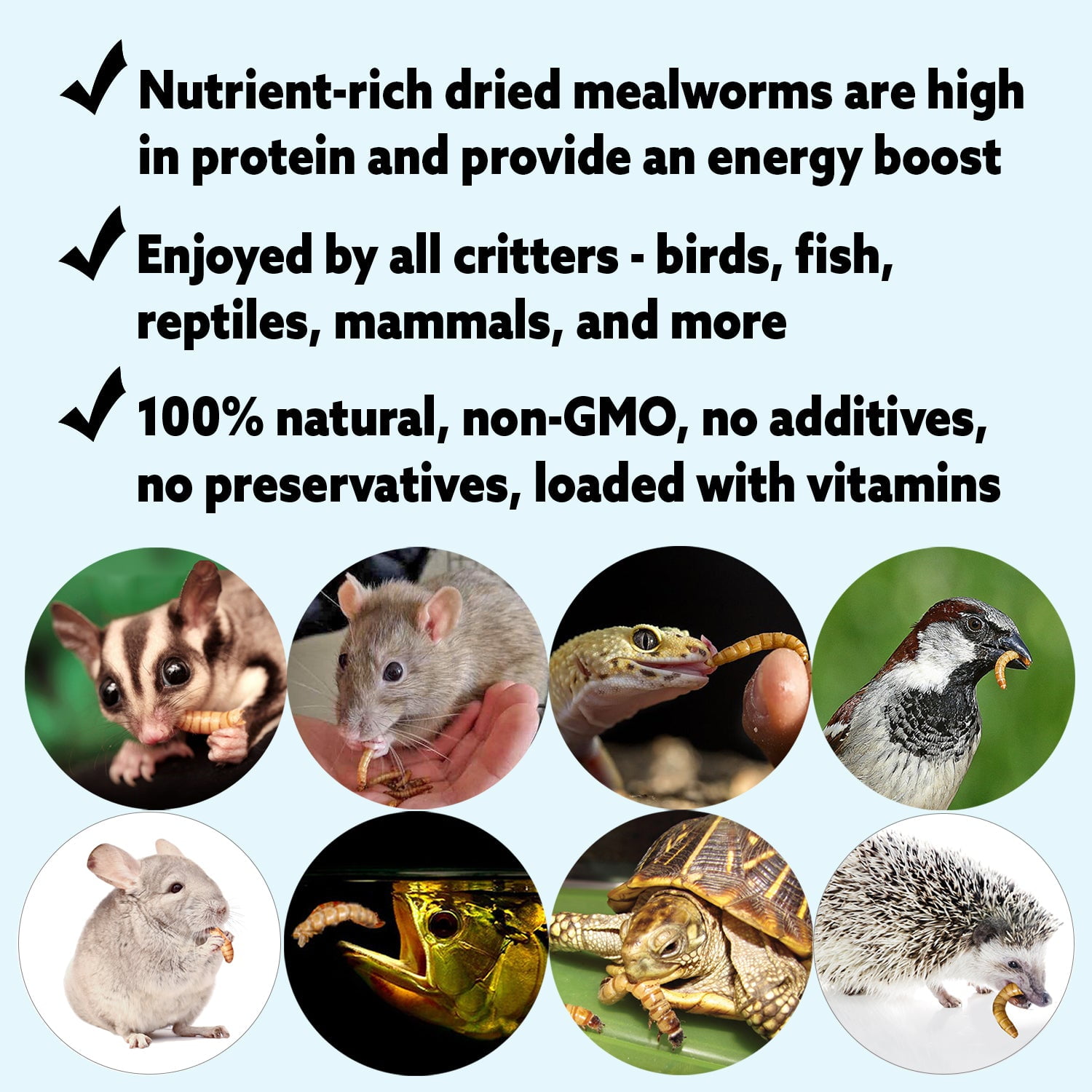 Exotic Nutrition EZ-Worms (20 lb.)- Blend of Dried Mealworms & Black Soldier Fly Larvae (BSFL) - Healthy Insect Treat - Chickens, Bluebirds, Sugar Gliders, Hedgehogs, Squirrels, Skunks, Reptiles