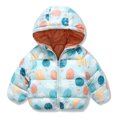 thumbnail image 5 of Gibobby Chaqueta de Forro Polar para bebés niñosNiños Niño Bebé Unisex Patchwork Primavera Invierno Lindo Abrigo Con Capucha Chaqueta Acolchada Outwear R(Azul claro, 3-4 Años), 5 of 5