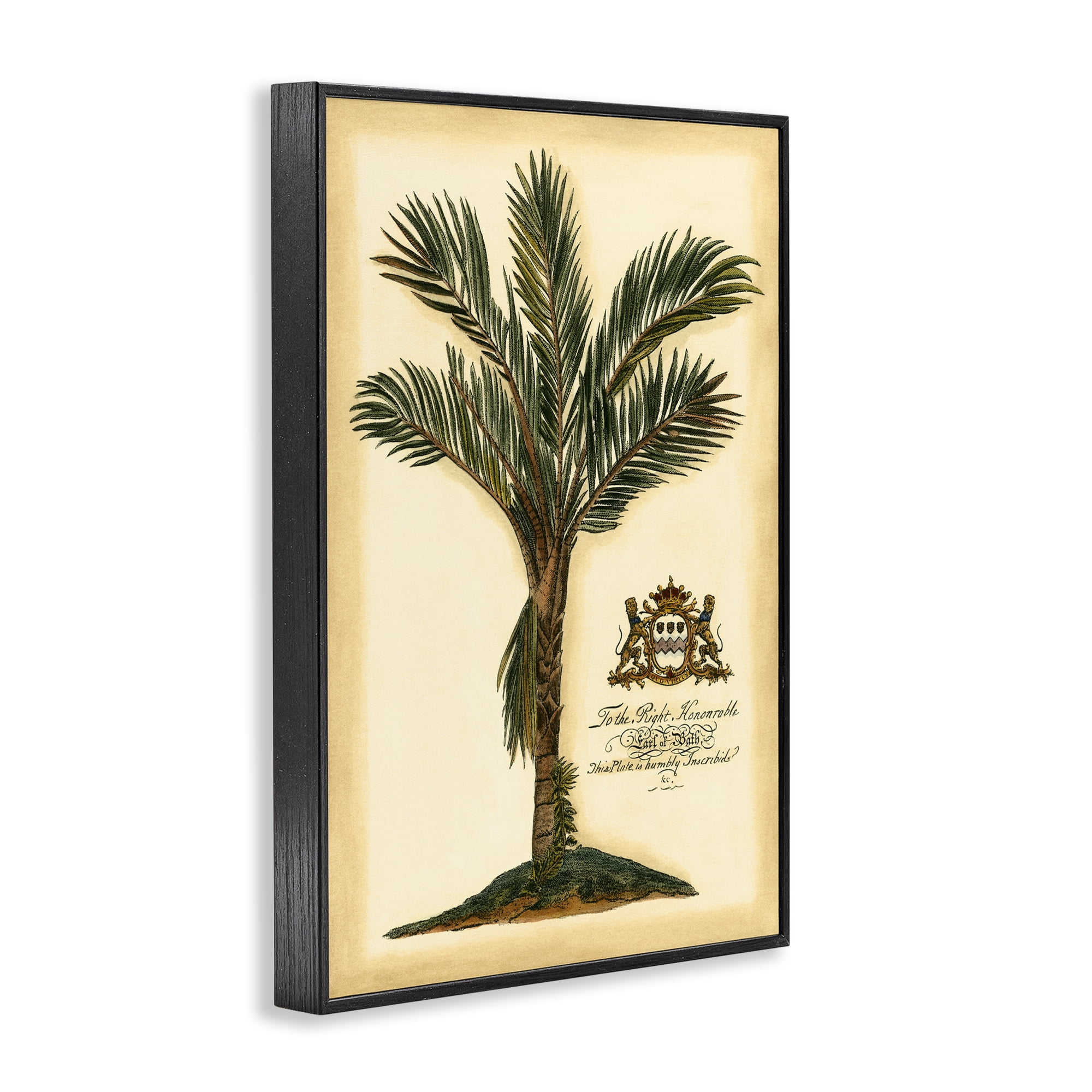 Stupell Industries Vintage Colonial Palm Black Framed Giclee Art, design by Vision Studio