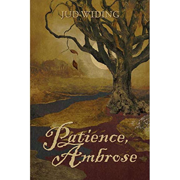 Pre-Owned Patience, Ambrose (Paperback) 1791833608 9781791833602