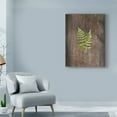 thumbnail image 3 of Trademark Fine Art 'Woodland Fern II' Canvas Art by Sue Schlabach, 3 of 3