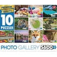 thumbnail image 1 of Sure-Lox 10-in-1 Multi-Pack Photo Gallery Puzzle Set, 1 of 1