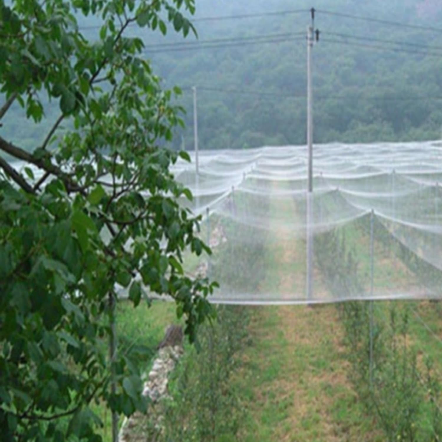 Bird Netting,Bug Net,Garden Netting Mesh,Garden Insect Netting,Protects Garden Plants and Fruit Trees from Birds, Bugs, and Butterflies, Insect Garden Netting, Butterfly Netting(9.84 * 16.40 Ft)