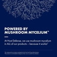 thumbnail image 3 of Host Defense Mushrooms Hongo Agarikon 60 Capsulas, 3 of 5