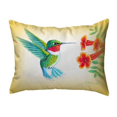 Betsy Drake KS1093 11 x 14 in. Dicks Hummingbird Non-Corded Indoor & Outdoor Pillow