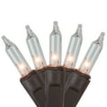 thumbnail image 2 of Northlight Mini Net Style Incandescent Christmas Lights - 2' x 8' - Clear - Brown Wire, 2 of 4