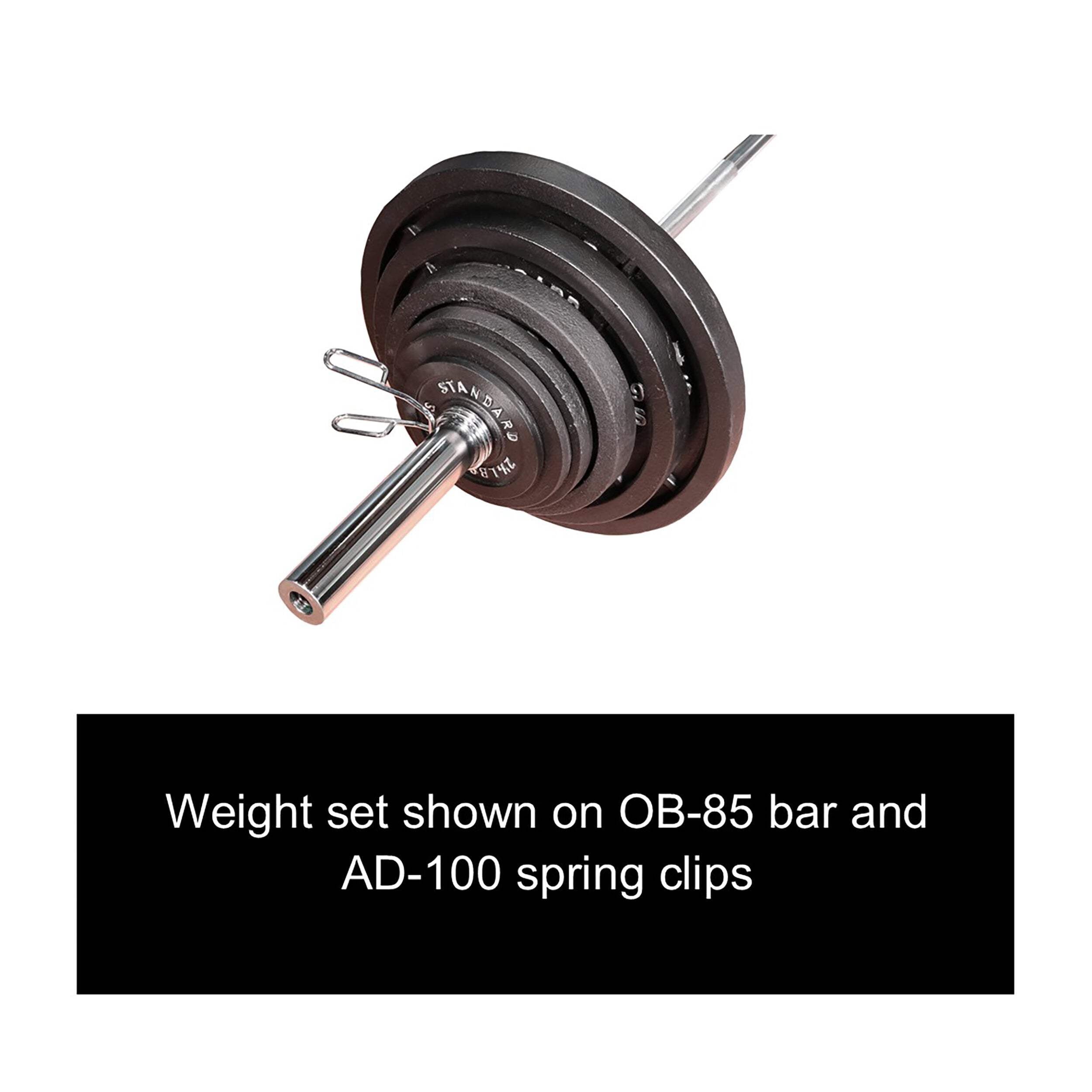 Deltech Fitness 35 lb Olympic Weight Plate Pair, Cast Iron