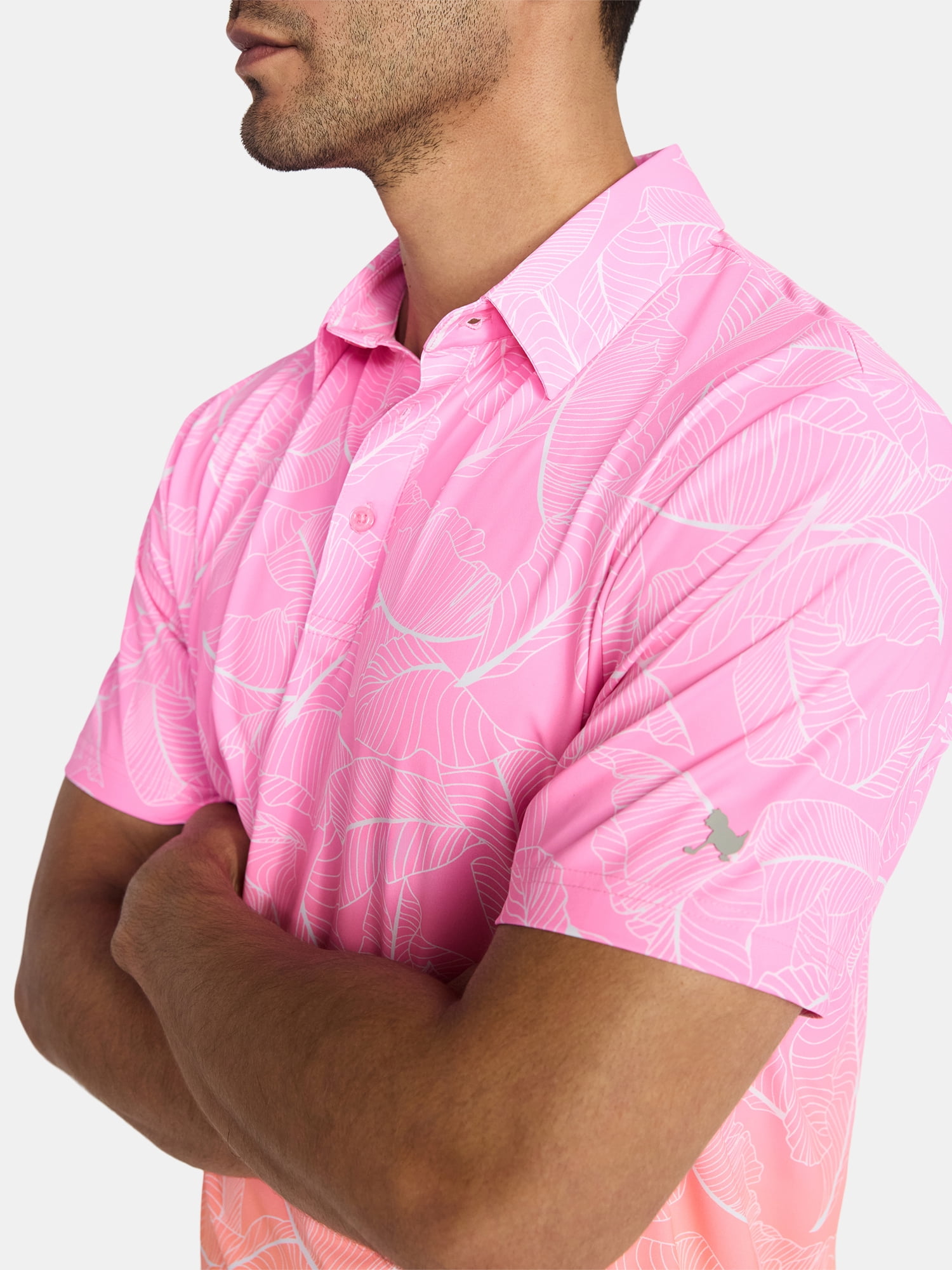 Birdie Bound Men's & Big Men's Novelty Print Golf Polo, Sizes S-5XL