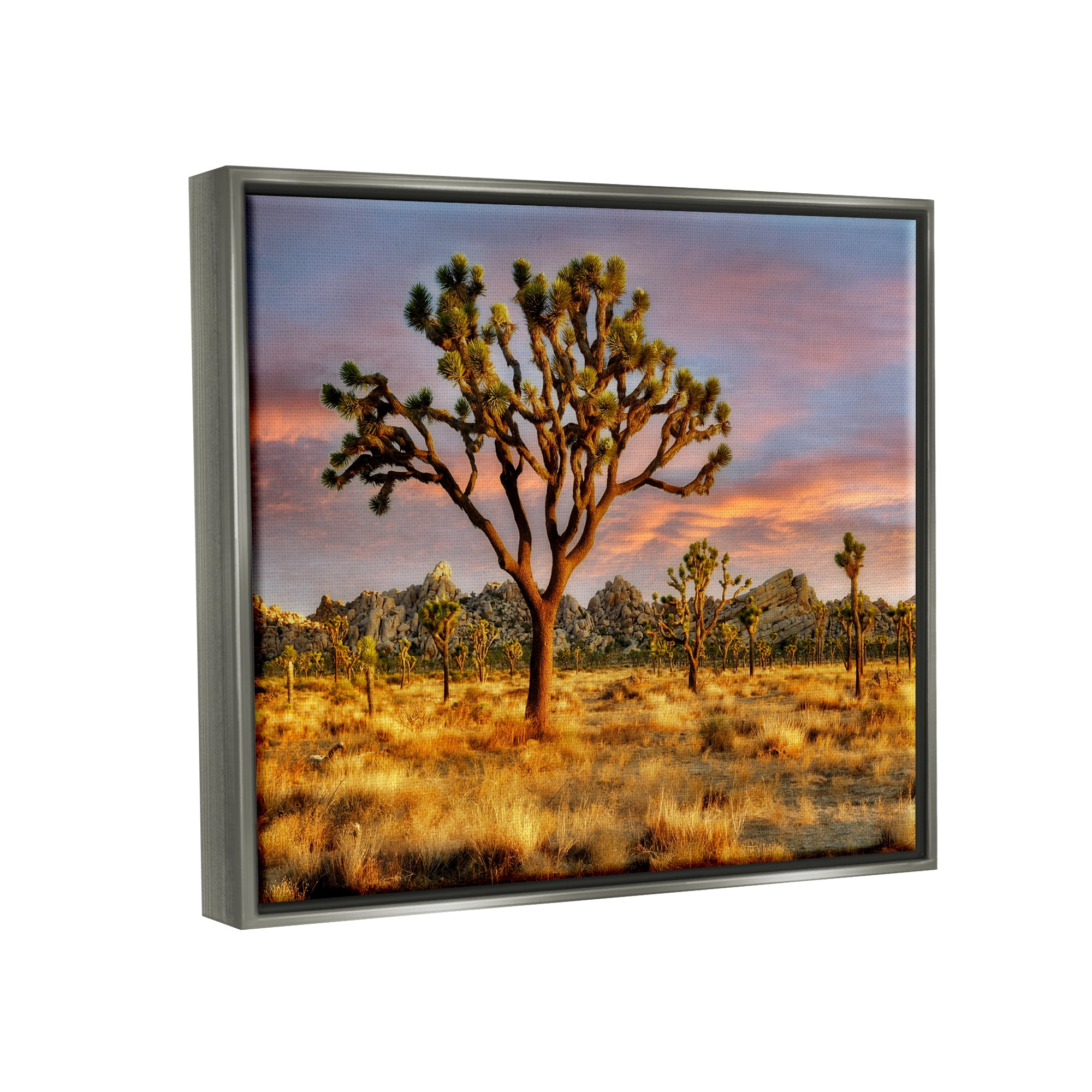 Stupell Industries Savanna Trees Photography Nature Photography Gray Floater Framed Art Print Wall Art, 31 x 25