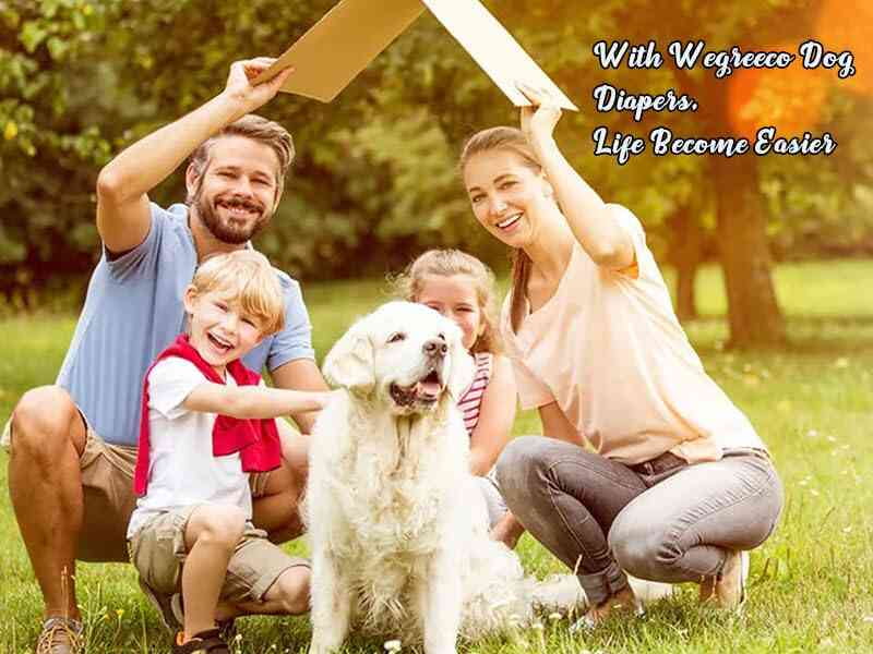 Wegreeco Pack of 4 Reusable Male Dog Belly Band, Washable Premium Male Dog Diapers, Super-Absorbent Dog Wraps(Green, Brown, Black, Grey, Medium)