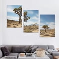 thumbnail image 4 of Nawypu  Joshua Tree National Park California Desert Landscape Photo Stretched Canvas Wall Art 12''x16''X3 Panels, 4 of 4