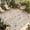 Beige, variant on Flowers Birds Outdoor Rug for Patio/Deck/Porch, Non-Slip Large Area Rug 4 x 6 Ft, Country Retro Botanical Floral Branches Indoor Outdoor Rugs Washable Area Rugs, Reversible Camping Rug Carpet Runner
