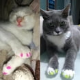 thumbnail image 4 of 20 Pieces Cat Nail s/Tips Pet Cat Soft Claws Covers Control Paws XS-L,X7S3, 4 of 9