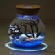 thumbnail image 3 of Cúpula de cristal de mesa *Decoración Miniatura Figuras de plantas transparentes DIY Obra de arte con madera Beluga de arena azul, 3 of 9