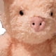 thumbnail image 3 of Plush Doll Toy Lovely Exquisite Soft Portable Stuffed Animal Toy for Birthday Party Festival Pig, 3 of 4