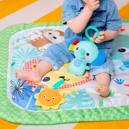 Bright Starts Wild Wiggles Baby Activity Gym & Play Mat, FoldAway Toy Bar, Newborn, Unisex (Green)