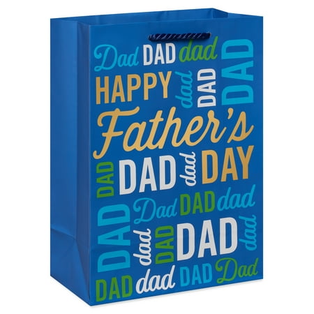 American Greetings Medium Father's Day Gift Bag (1-Count)