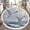 Color 3, variant on Washable Non Slip 4ft Round Rug, Moody Victorian Bookish Dark Academia Library Vintage Reading Nook Circle Area Rugs with Tassels Carpet for Nursery Bedroom Living Room Playroom Tent Rug