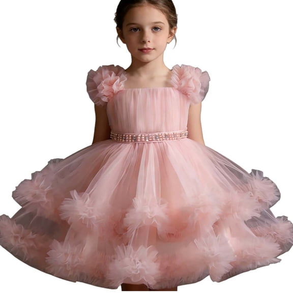 JCCXIN Girl Dress Girls Formal Party Dress Tutu Gown For Birthday Recital Girl Holiday Casual Dress Wedding Lovely 18-24 Months