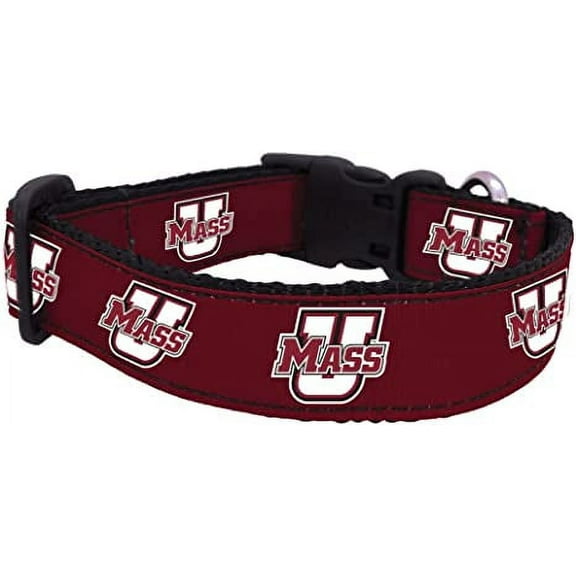 College Dog Collar (Large, UMASS)
