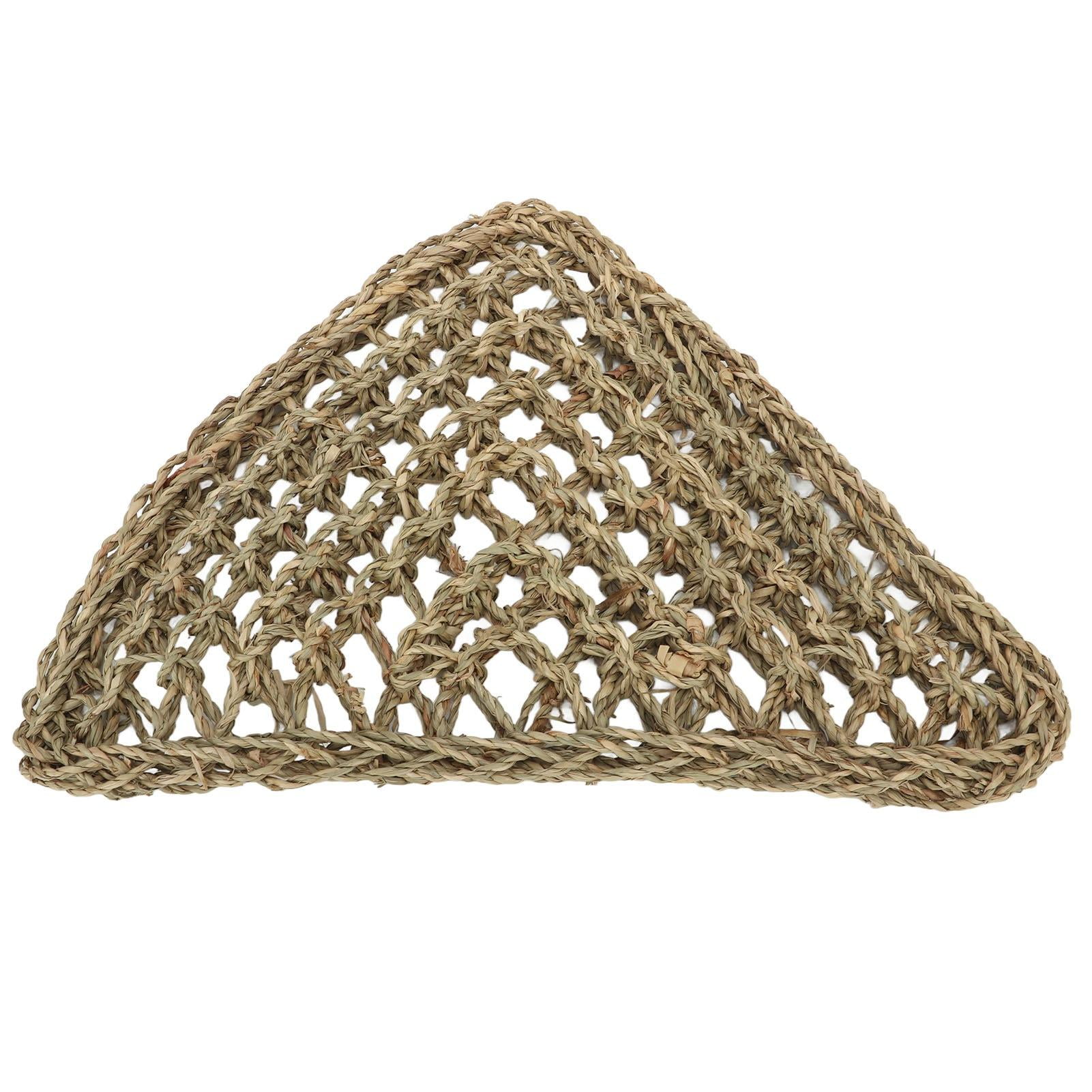 Yajisi Lizard Hammock Animal Crawling Mat Triangle Grass Reptile Animals Hammock for Bearded Dragon Dogs Cats 16.54 inches / 42 cm Terrarium Decor