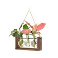 thumbnail image 1 of Hydroponic wooden frame vase, 1 of 13