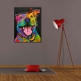 thumbnail image 4 of Epic Graffiti 'Add A Little Sunshine' by Dean Russo, Canvas Wall Art, 26"x34", 4 of 8