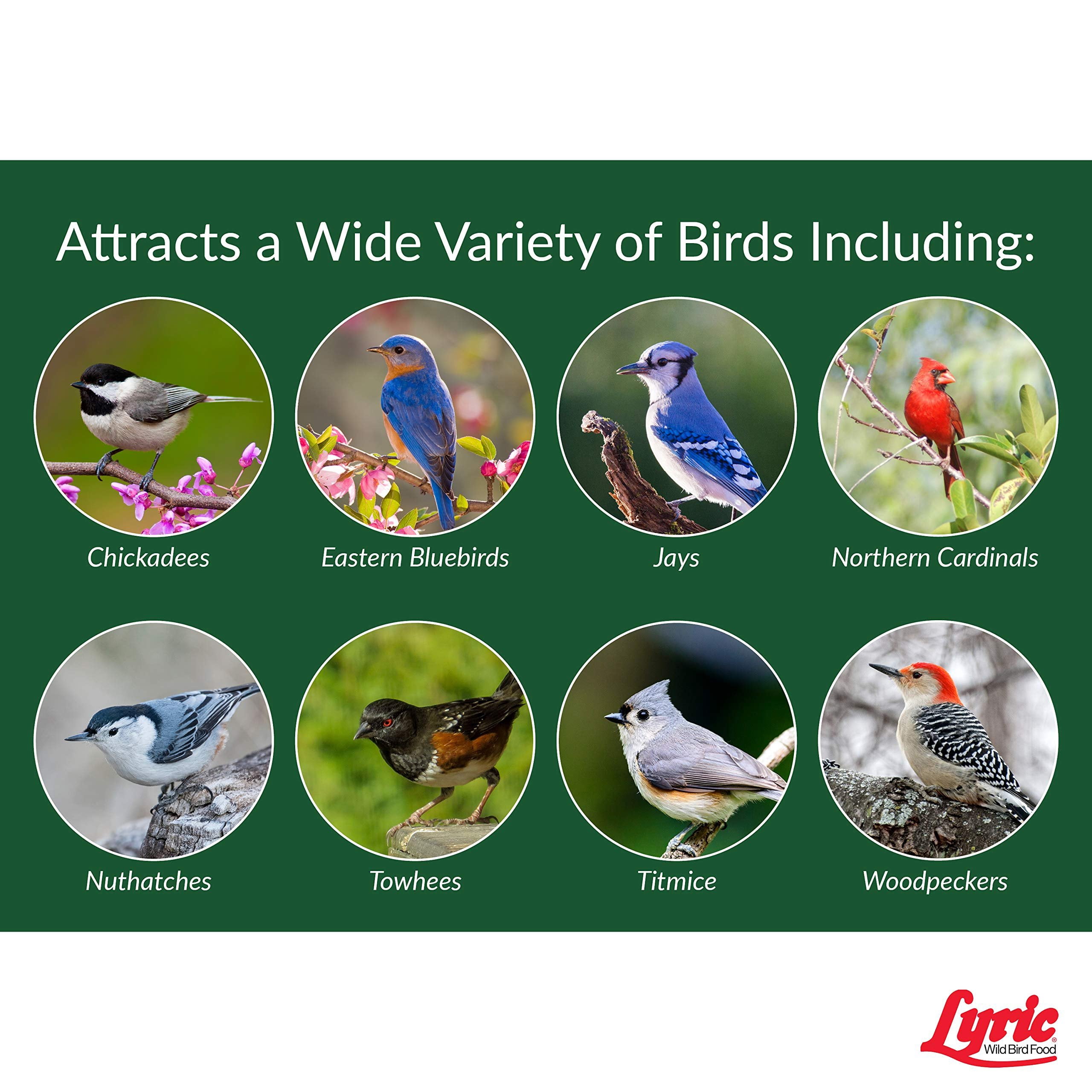 Lyric Peanut Pieces Wild Bird Seed, No Waste Bird Food - 15 lb. Bag