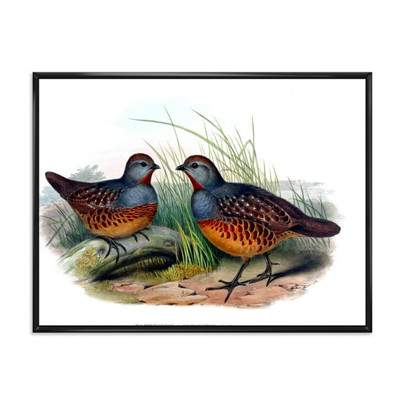 Designart 'Ancient Birds In The Wild VII' Traditional Framed Canvas Wall Art Print