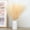 Beige, variant on 6PCS Pampas Grass Decor Tall 17"/43CM Artificial Pompous Grass Small Pompas Vase Filler for Home Boho Decor (Beige)