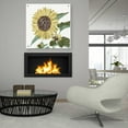 thumbnail image 4 of Epic Art 'Floral Study 3' by Stellar Design Studio, Acrylic Glass Wall Art, 36"x36", 4 of 7