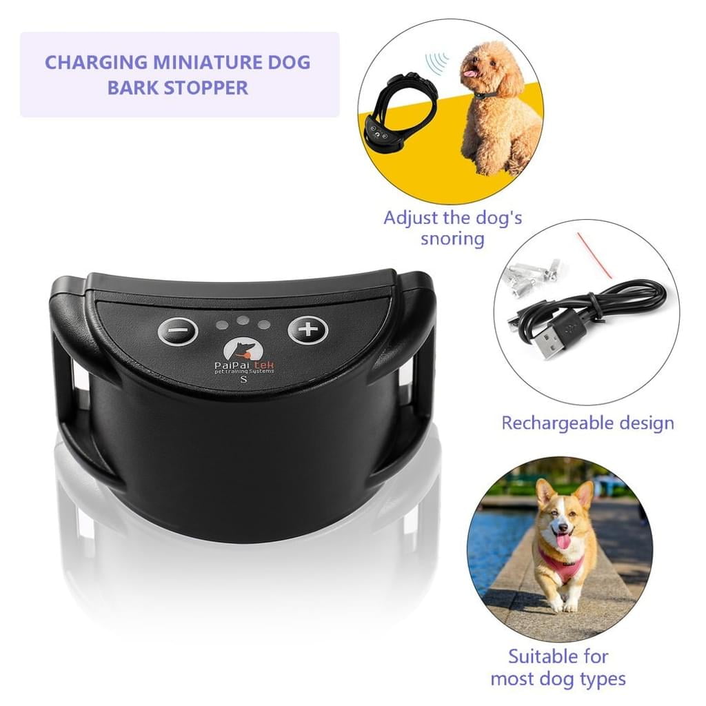 Dog training supplies near me hotsell