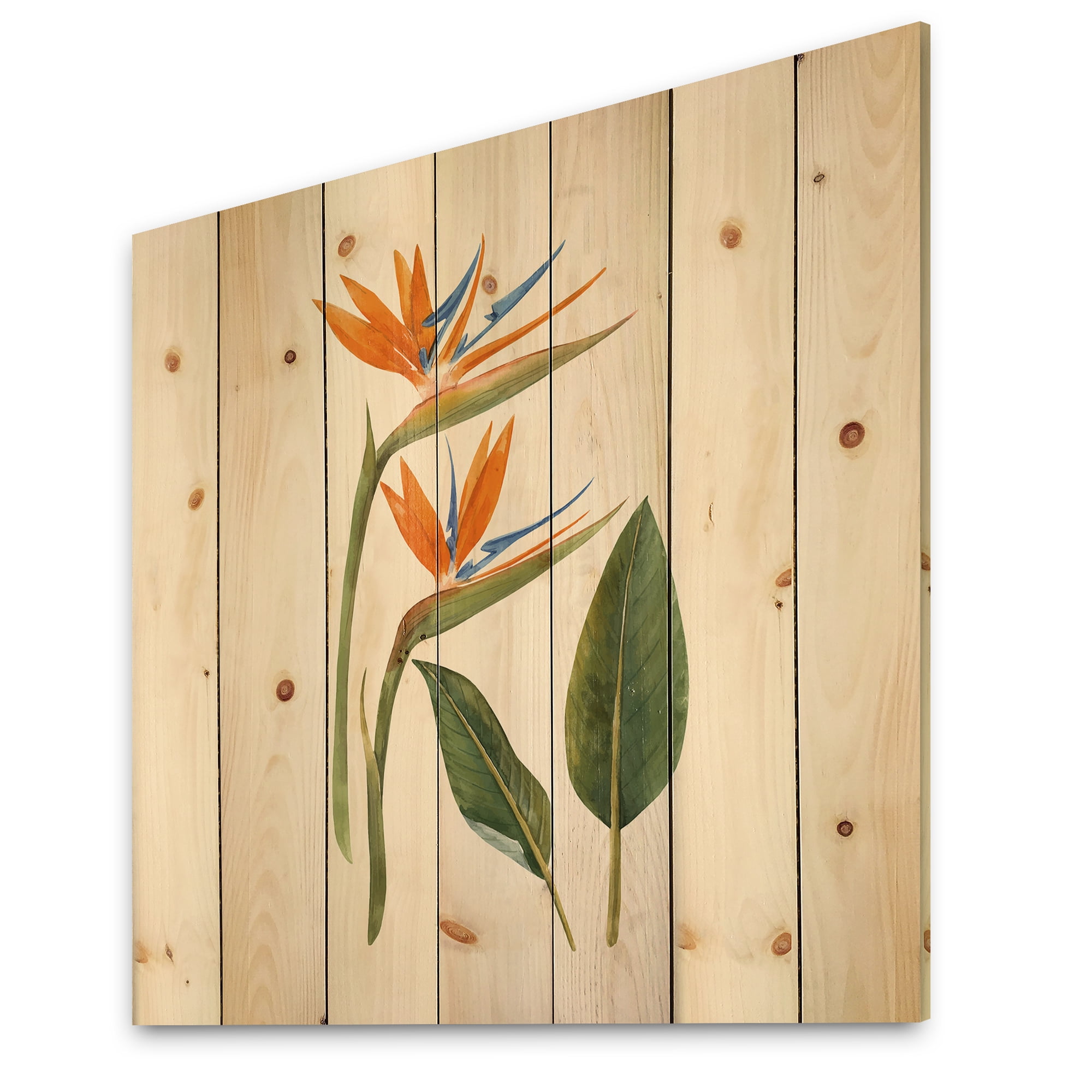 Designart 'Ancient Strelitzia Flowers' Traditional Print on Natural Pine Wood